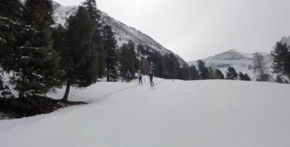 naturhotel-urlaubsfotos-winter-2012-1004--11042012 bild#7
