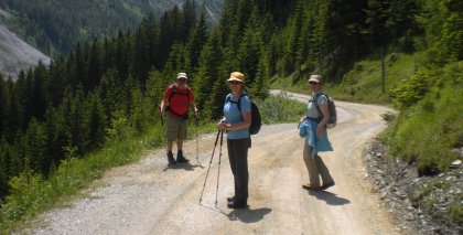 naturhotel-urlaubsfotos-sommer-2012-17-bis-23-juni bild#5