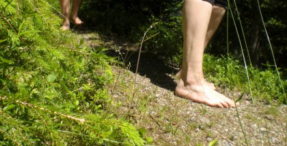 naturhotel-urlaubsfotos-sommer-2012-17-bis-23-juni bild#8