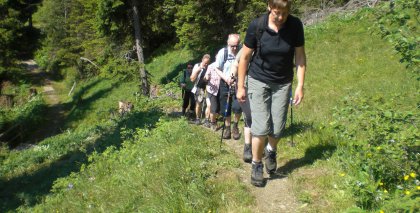 naturhotel-urlaubsfotos-sommer-2012-17-bis-23-juni bild#12