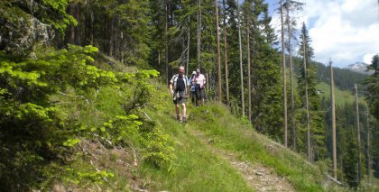 naturhotel-urlaubsfotos-sommer-2012-17-bis-23-juni bild#16