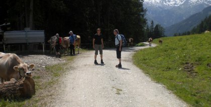 naturhotel-urlaubsfotos-sommer-2012-17-bis-23-juni bild#19