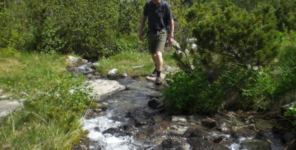 naturhotel-urlaubsfotos-sommer-2012-17-bis-23-juni bild#22