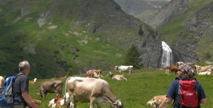 naturhotel-urlaubsfotos-sommer-2012-17-bis-23-juni bild#26