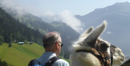 naturhotel-urlaubsfotos-sommer-2012-17-bis-23-juni bild#28