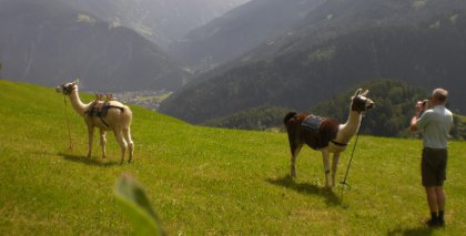 naturhotel-urlaubsfotos-sommer-2012-17-bis-23-juni bild#29