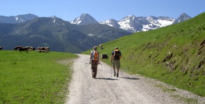 naturhotel-urlaubsfotos-sommer-2012-17-bis-23-juni bild#57