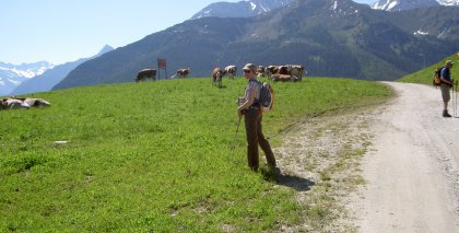naturhotel-urlaubsfotos-sommer-2012-17-bis-23-juni bild#58
