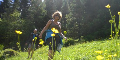 naturhotel-urlaubsfotos-sommer-2012-24-bis-30-juni bild#14