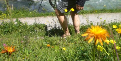 naturhotel-urlaubsfotos-sommer-2012-24-bis-30-juni bild#15