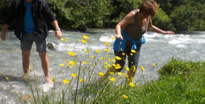 naturhotel-urlaubsfotos-sommer-2012-24-bis-30-juni bild#16