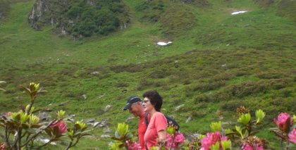 naturhotel-urlaubsfotos-sommer-2012-24-bis-30-juni bild#20