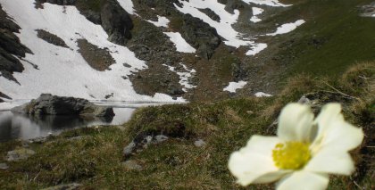 naturhotel-urlaubsfotos-sommer-2012-24-bis-30-juni bild#42