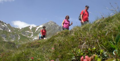 naturhotel-urlaubsfotos-sommer-2012-24-bis-30-juni bild#48