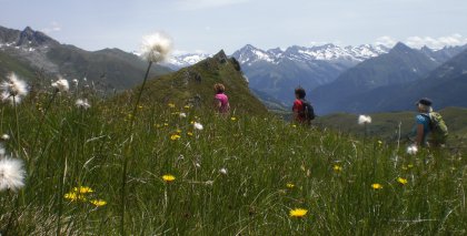 naturhotel-urlaubsfotos-sommer-2012-24-bis-30-juni bild#49