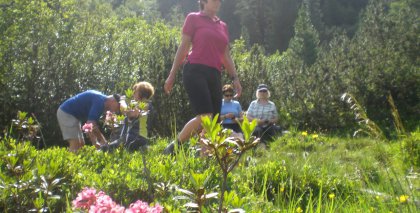 naturhotel-urlaubsfotos-sommer-2012-24-bis-30-juni bild#53