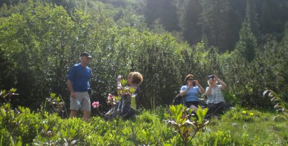 naturhotel-urlaubsfotos-sommer-2012-24-bis-30-juni bild#54