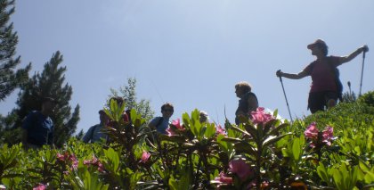 naturhotel-urlaubsfotos-sommer-2012-24-bis-30-juni bild#74