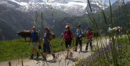 naturhotel-urlaubsfotos-sommer-2012-24-bis-30-juni bild#80