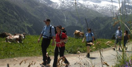 naturhotel-urlaubsfotos-sommer-2012-24-bis-30-juni bild#81
