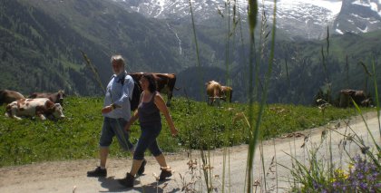 naturhotel-urlaubsfotos-sommer-2012-24-bis-30-juni bild#82