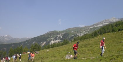 naturhotel-urlaubsfotos-sommer-2012-24-bis-30-juni bild#91