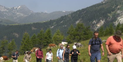 naturhotel-urlaubsfotos-sommer-2012-24-bis-30-juni bild#92