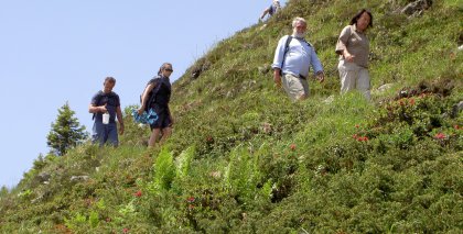 naturhotel-urlaubsfotos-sommer-2012-24-bis-30-juni bild#197