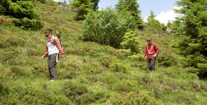 naturhotel-urlaubsfotos-sommer-2012-24-bis-30-juni bild#198