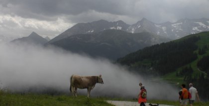 naturhotel-urlaubsfotos-sommer-2012-1-bis-7-juli bild#24