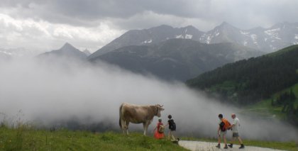 naturhotel-urlaubsfotos-sommer-2012-1-bis-7-juli bild#25