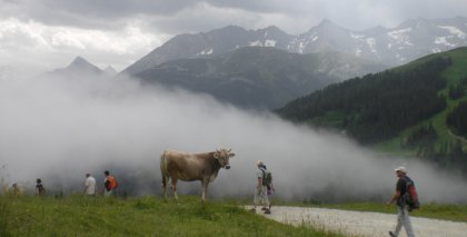naturhotel-urlaubsfotos-sommer-2012-1-bis-7-juli bild#26