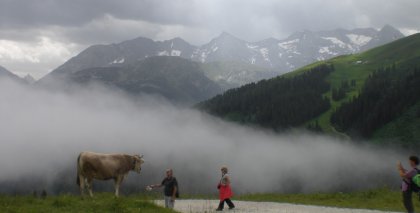 naturhotel-urlaubsfotos-sommer-2012-1-bis-7-juli bild#27