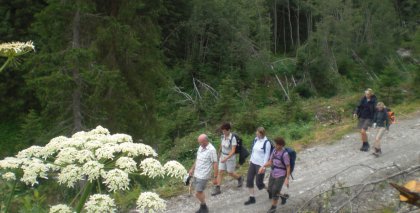 naturhotel-urlaubsfotos-sommer-2012-1-bis-7-juli bild#42