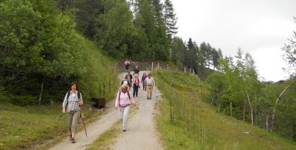 naturhotel-urlaubsfotos-sommer-2012-1-bis-7-juli bild#189