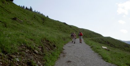 naturhotel-urlaubsfotos-sommer-2012-1-bis-7-juli bild#234