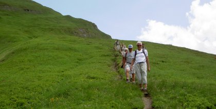 naturhotel-urlaubsfotos-sommer-2012-1-bis-7-juli bild#250