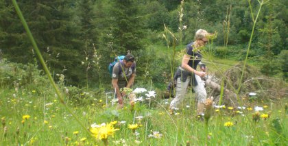 naturhotel-urlaubsfotos-sommer-2012-8-bis-14-juli bild#2