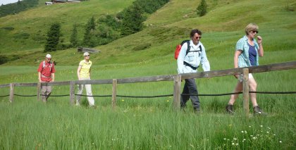 naturhotel-urlaubsfotos-sommer-2012-22-bis-28-juli bild#113
