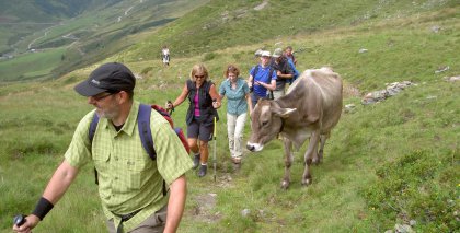 naturhotel-urlaubsfotos-sommer-2012-5-bis-11-august bild#9