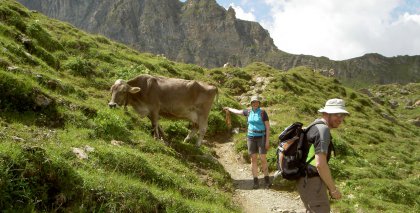 naturhotel-urlaubsfotos-sommer-2012-12-bis-18-august bild#29