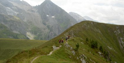 naturhotel-urlaubsfotos-sommer-2012-12-bis-18-august bild#38