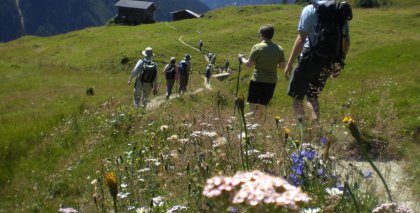 naturhotel-urlaubsfotos-sommer-2012-12-bis-18-august bild#115
