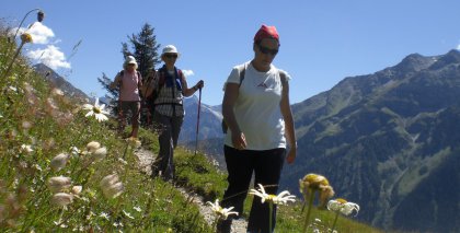 naturhotel-urlaubsfotos-sommer-2012-12-bis-18-august bild#120