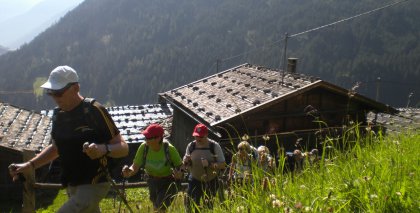 naturhotel-urlaubsfotos-sommer-2012-12-bis-18-august bild#178