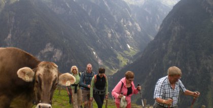 naturhotel-urlaubsfotos-sommer-2012-12-bis-18-august bild#195