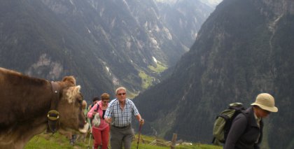 naturhotel-urlaubsfotos-sommer-2012-12-bis-18-august bild#196