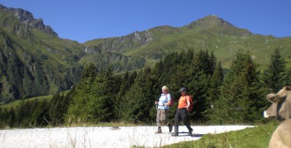 naturhotel-urlaubsfotos-sommer-2012-26-august-bis-1-september bild#103