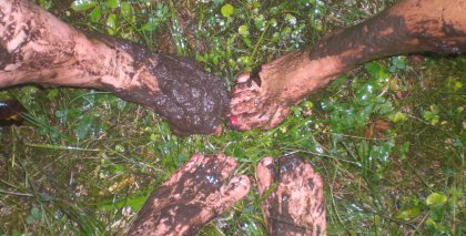 naturhotel-urlaubsfotos-sommer-2012-2-bis-8-september bild#96