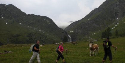 naturhotel-urlaubsfotos-sommer-2012-2-bis-8-september bild#121